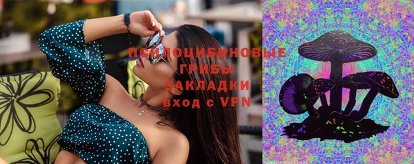 молекула духа Армянск